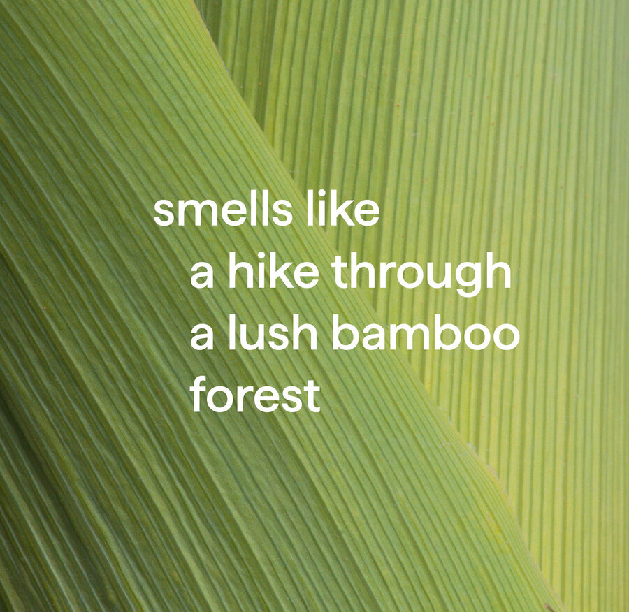 antibacterial all-purpose cleaner