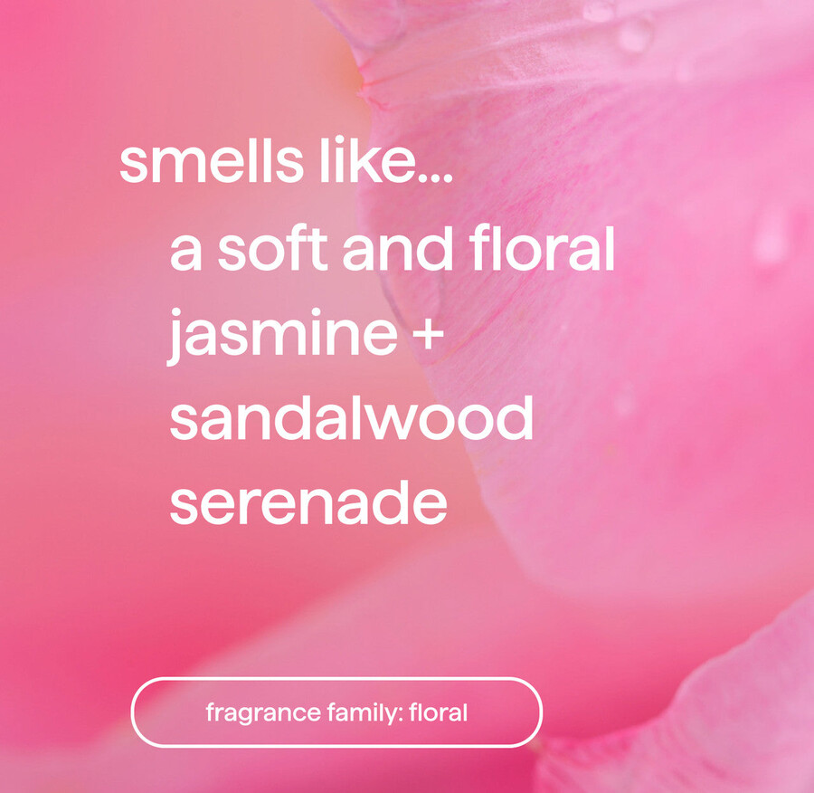 dream foam foaming body wash