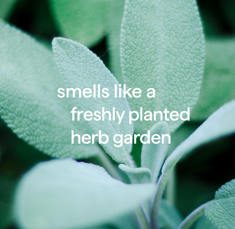 squirt mop hard floor cleaner