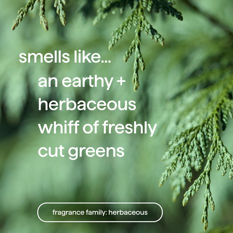 men body wash trio 84 oz.